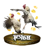 Đá gà WS168 Cockfighting