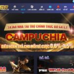 Tìm hiểu thông tin về sảnh đá gà WS168