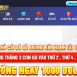 Quy định cần nắm rõ khi đăng ký SV368